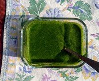 Hari chutney