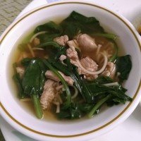 Chicken and spinach noodle soup